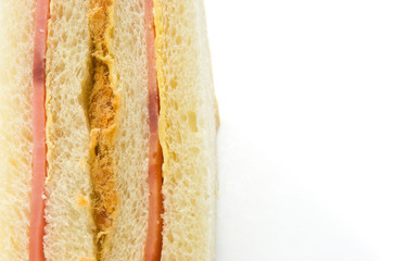 homemade sandwich with shredded pork