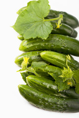 Cucumbers on a white background