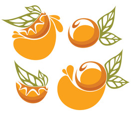 vector collection of fresh orange fruits, juice and stickers