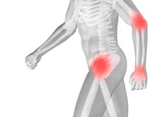 High resolution 3D human for anatomy,medicine and health