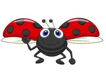 Foto op Plexiglas Lieveheersbeestjes Leuke lieveheersbeestje cartoon vliegen