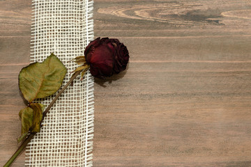 Rose auf Holz