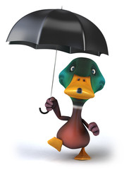 Fun duck