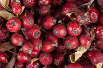 dried rosehips