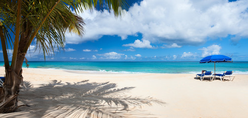 Fototapeta na wymiar Panorama of a beautiful Caribbean beach