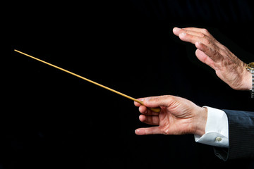 Conductors hands directing.