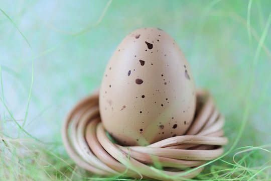 Egg on a green