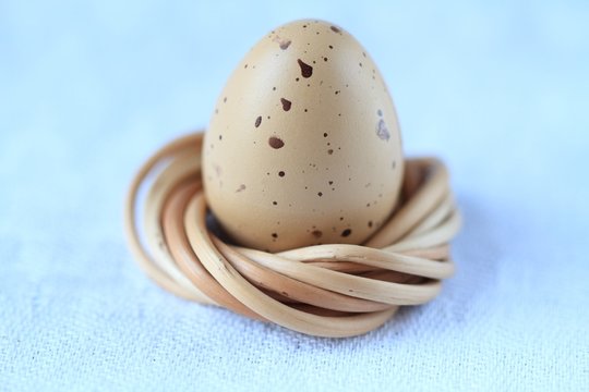 The single egg on a nest