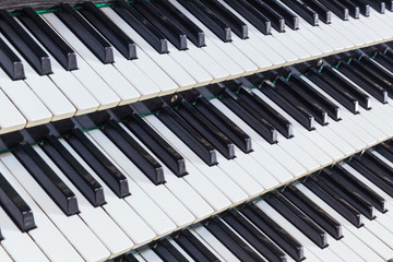 Naklejka premium Musical organ