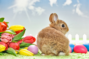 Baby Kaninchen mit Blumen und Ostereiern