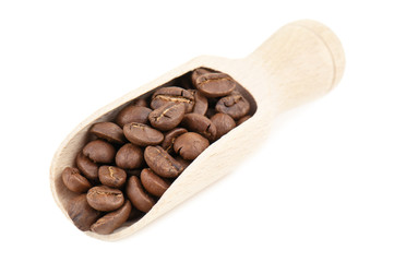 coffee beans in spoon