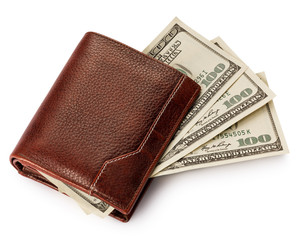 Purse with money