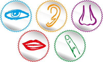 Five senses icon set - Vector Illustration