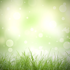 Fototapeta premium Natural green background