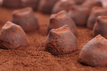 chocolate truffles