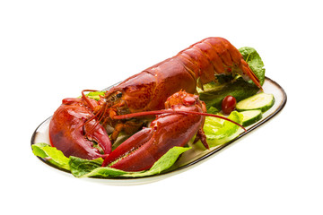 Large Lobster