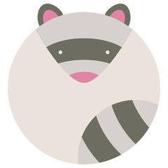 Raccoon