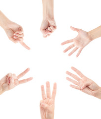 Counting woman hands (0 to 5) isolated on white background