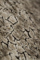 Textura de suelo seco, con grietas, arcilla.