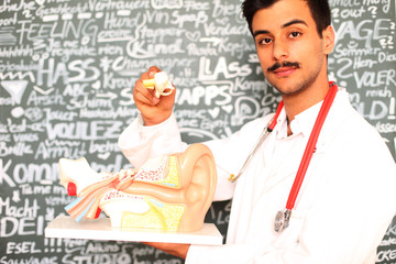 junger Arzt mit HNO Modell