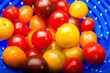 Obraz premium tomates cerises