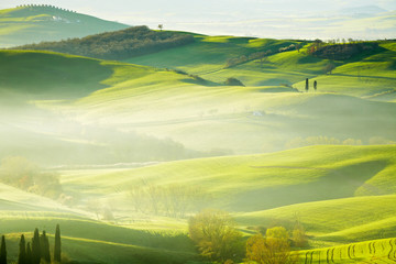 Countryside, San Quirico d´Orcia, Tuscany, Italy