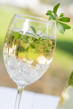 Maibowle mit frischem Waldmeister