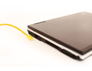 Netzwerkkabel und Laptop