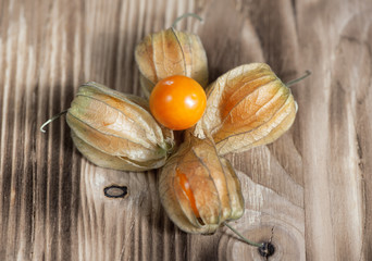 Physalis on the wooden background