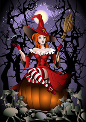 the witch with a crow