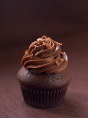 Chocolate and espresso cupcakes