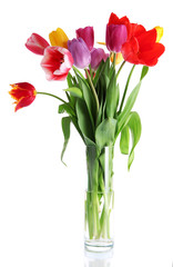 Beautiful tulips in bouquet isolated on white