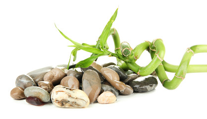 Still life with green bamboo plant and stones, isolated on