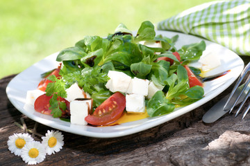 Salat mit Gänseblümchen