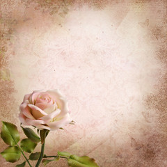 Rose on a vintage background