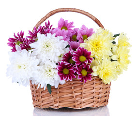 Bouquet of beautiful chrysanthemums in wicker basket isolated