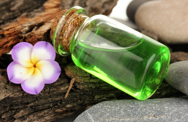 Bottle with basics oil on tree bark and stones close up
