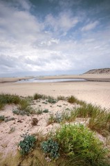 embouchure du courant d'huchet - moliets et maa