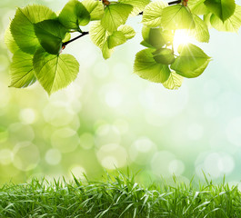 spring background