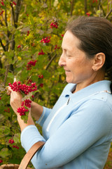 gardener woman picking viburnum