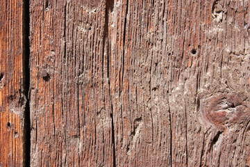 Obraz premium Wood Door 1