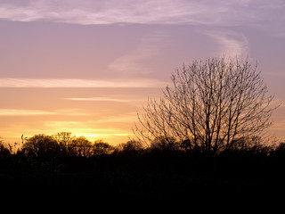 Fototapeta na wymiar April Sunset