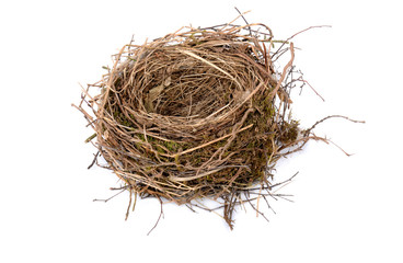 empty birds nest