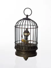 Papier Peint photo Lavable Oiseaux en cages oiseau en cage