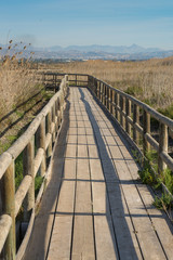 Fototapeta na wymiar Natural park footbridge
