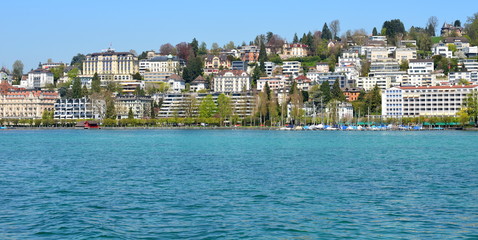 lucerne