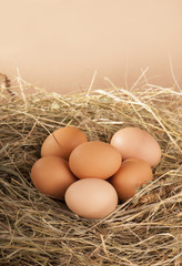 pile of brown eggs in a nest