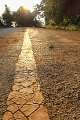 road line