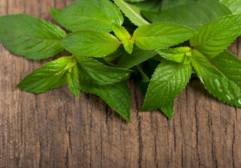 Fresh mint on the wooden texture