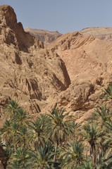 Chebika oasis in southern Tunisia.